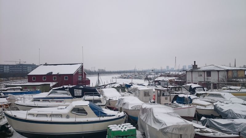 Viewing photos→2016→2016-01-06→50