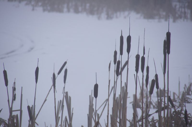 Viewing photos→2016→2016-01-06→54