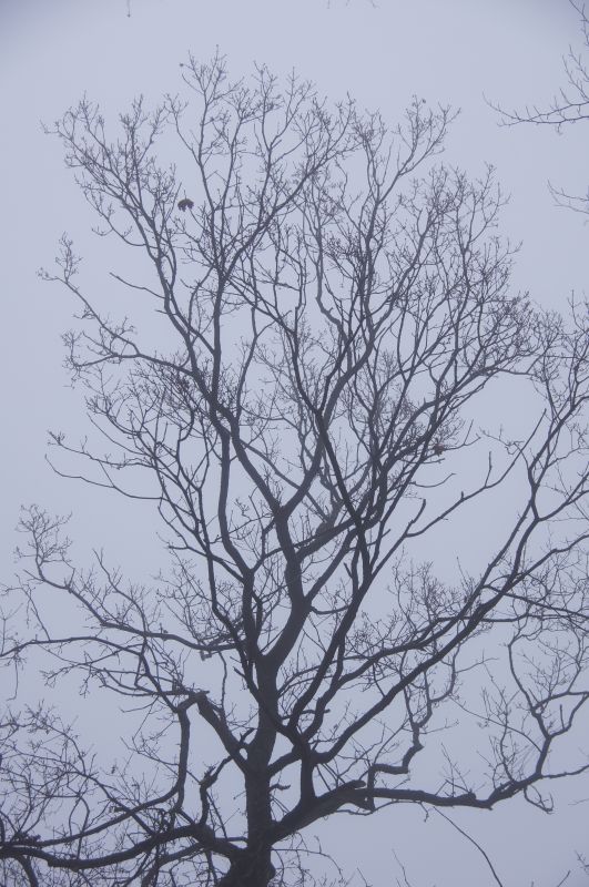 Viewing photos→2016→2016-01-06→58