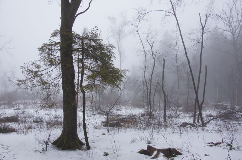 Viewing photos→2016→2016-01-06→61