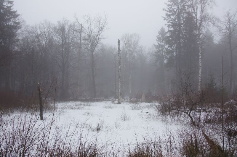 Viewing photos→2016→2016-01-06→65