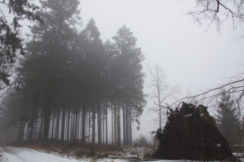 Viewing photos→2016→2016-01-06→67