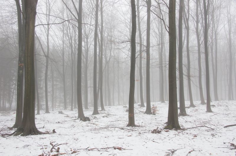 Viewing photos→2016→2016-01-06→69