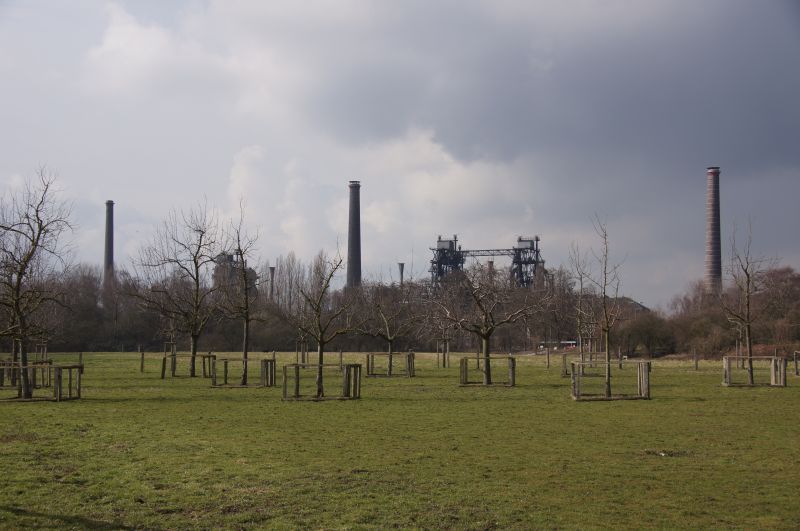 Viewing photos→2016→2016-03-06→05