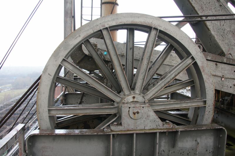 Viewing photos→2016→2016-03-06→43