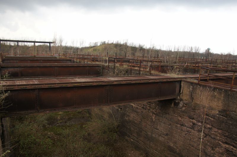 Viewing photos→2016→2016-03-06→48