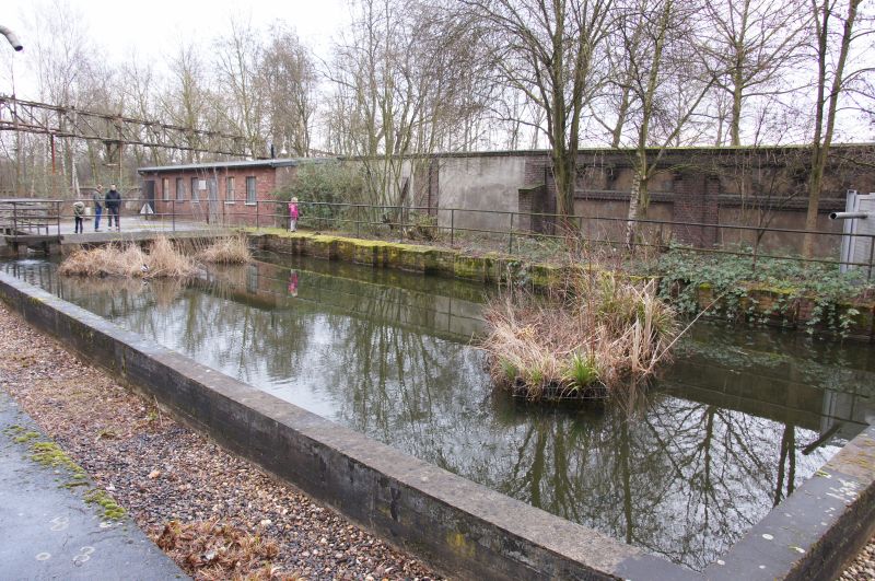 Viewing photos→2016→2016-03-06→55