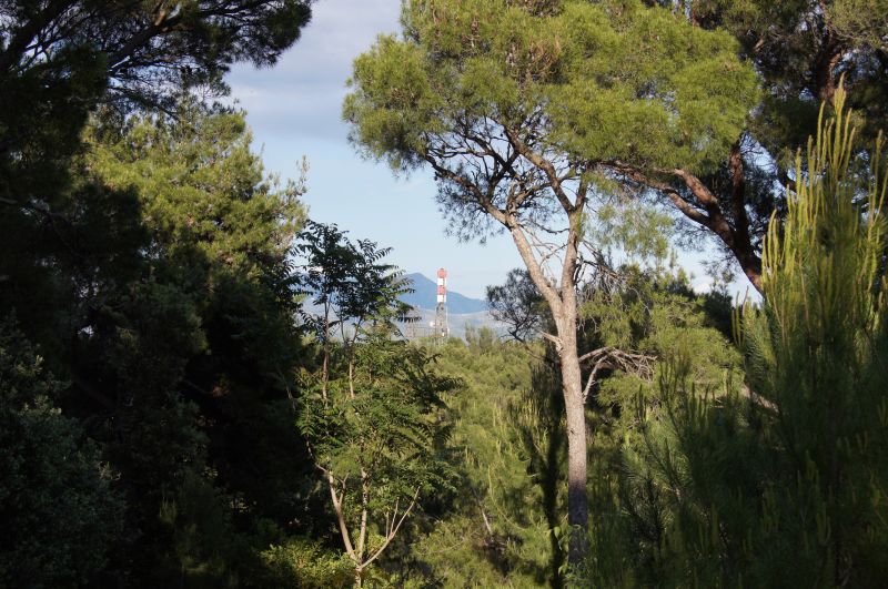 Viewing photos→2016→2016-05-17→11