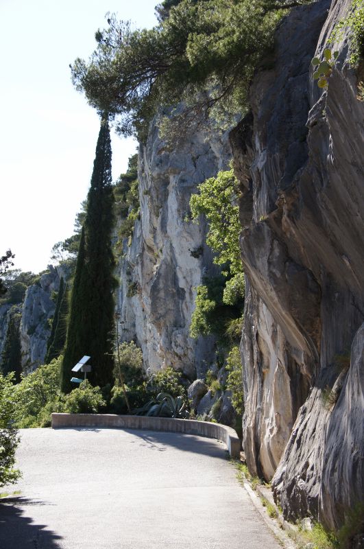 Viewing photos→2016→2016-05-17→78