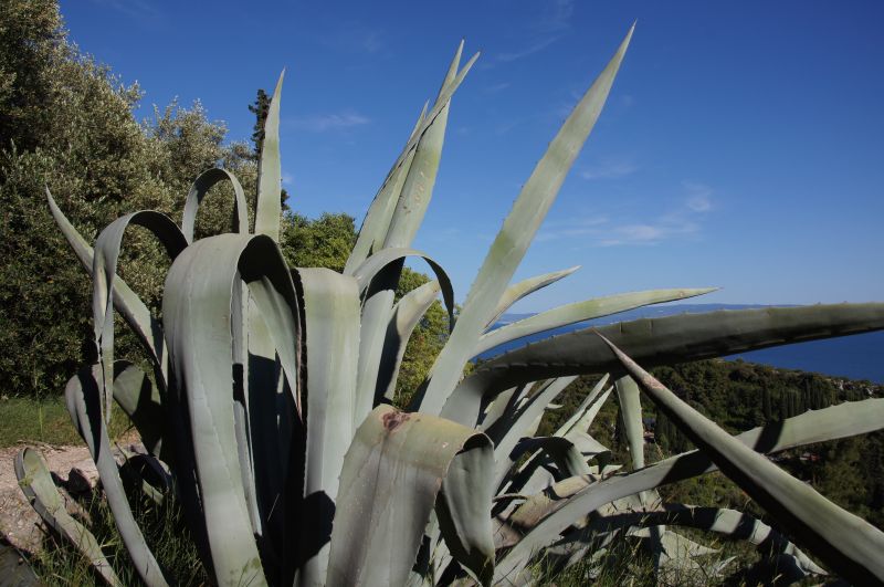 Viewing photos→2016→2016-05-17→83