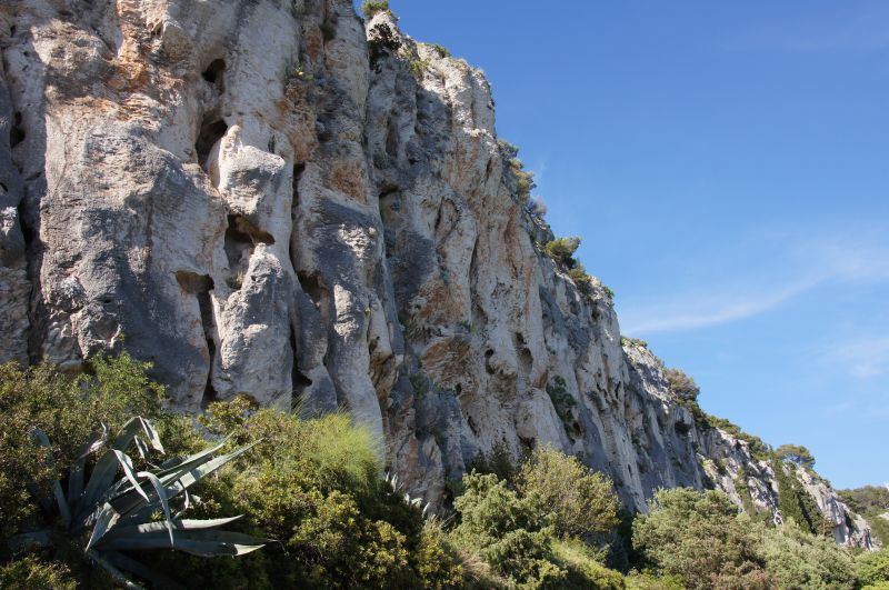 Viewing photos→2016→2016-05-17→86