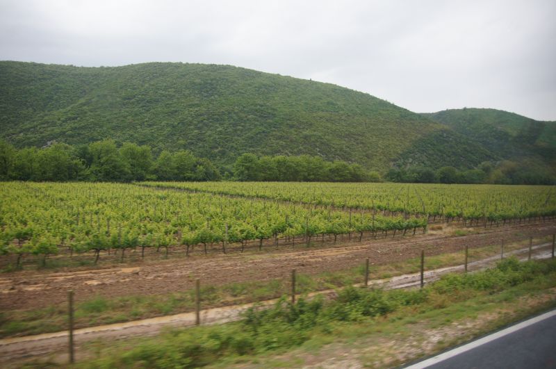 Viewing photos→2016→2016-05-19-1→22