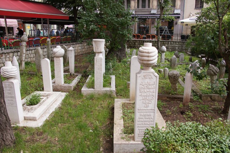 Viewing photos→2016→2016-05-20-2→012