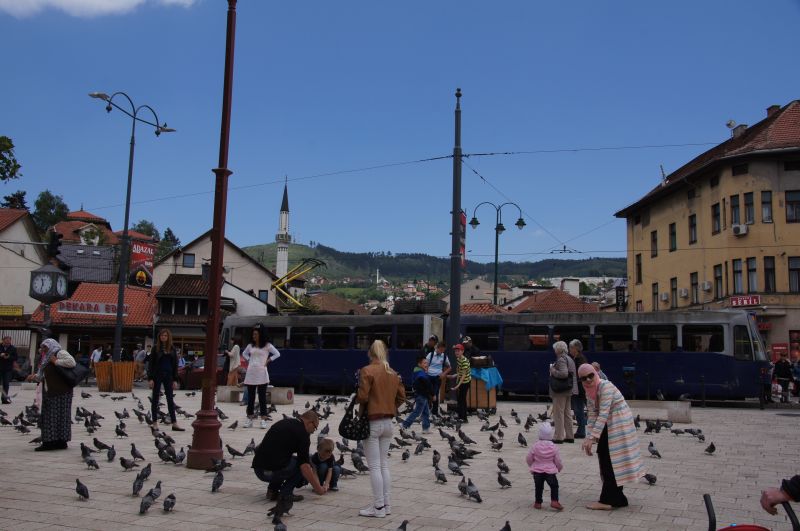 Viewing photos→2016→2016-05-20-2→024