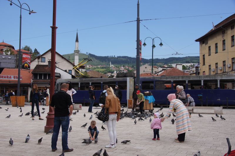 Viewing photos→2016→2016-05-20-2→025