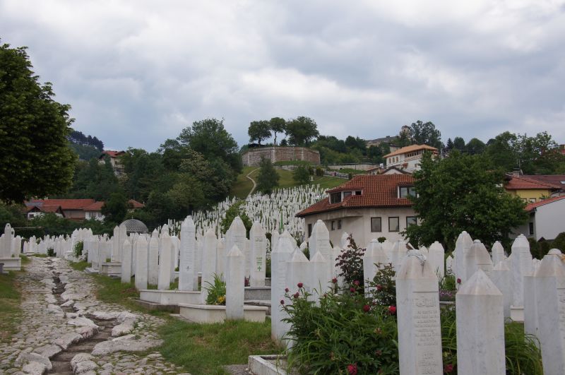 Viewing photos→2016→2016-05-20-2→068