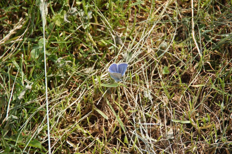 Viewing photos→2016→2016-05-23→33