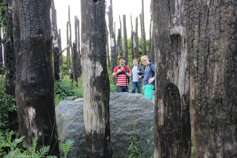 Viewing photos→2016→2016-06-07→22