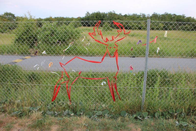 Viewing photos→2016→2016-06-07→28