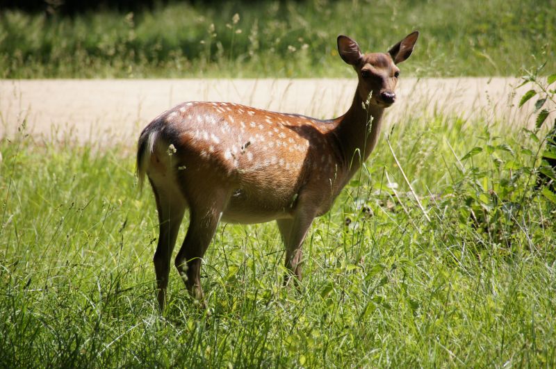 Viewing photos→2016→2016-06-12→02