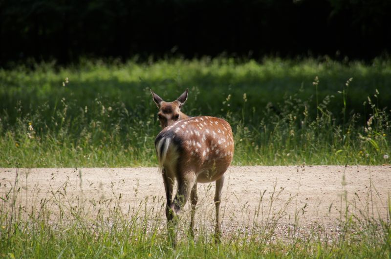 Viewing photos→2016→2016-06-12→03