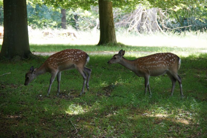 Viewing photos→2016→2016-06-12→04