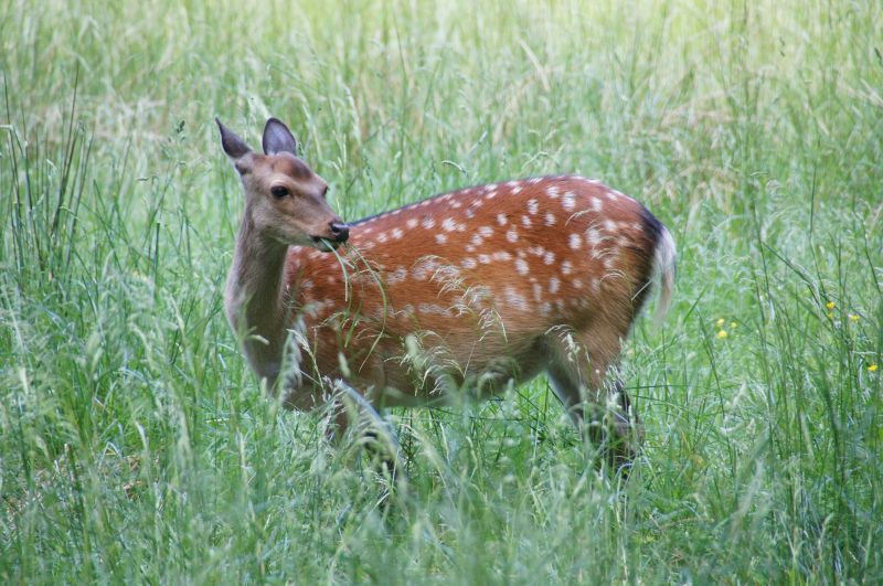 Viewing photos→2016→2016-06-12→07