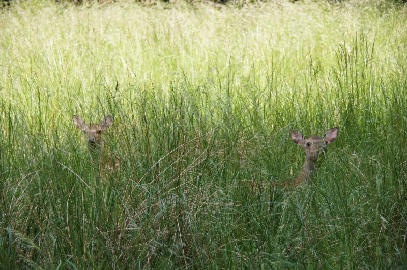 Viewing photos→2016→2016-06-12→11