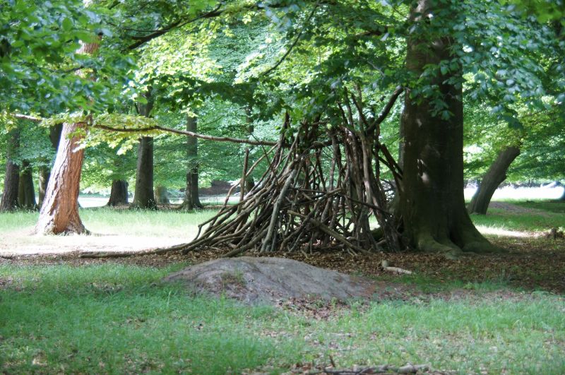 Viewing photos→2016→2016-06-12→14