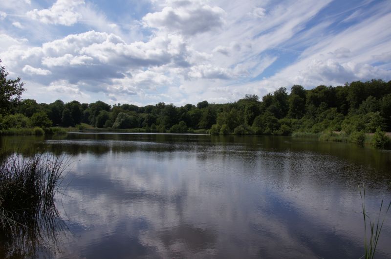 Viewing photos→2016→2016-06-12→16