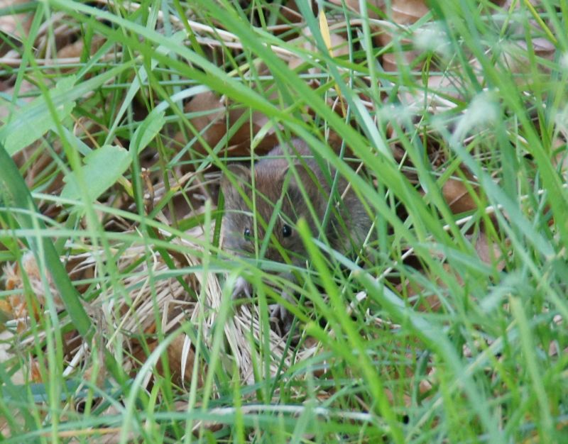 Viewing photos→2016→2016-06-12→17a