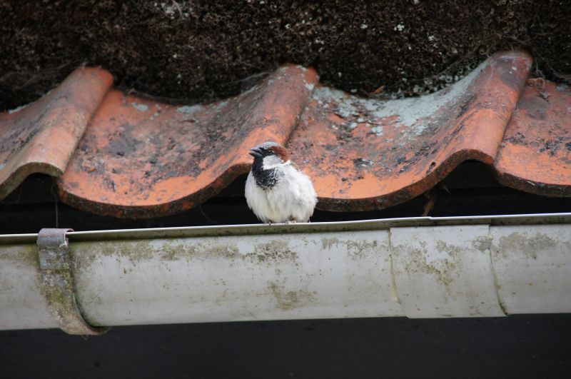 Viewing photos→2016→2016-06-12→20