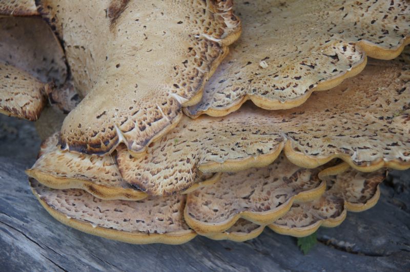 Viewing photos→2016→2016-06-12→24