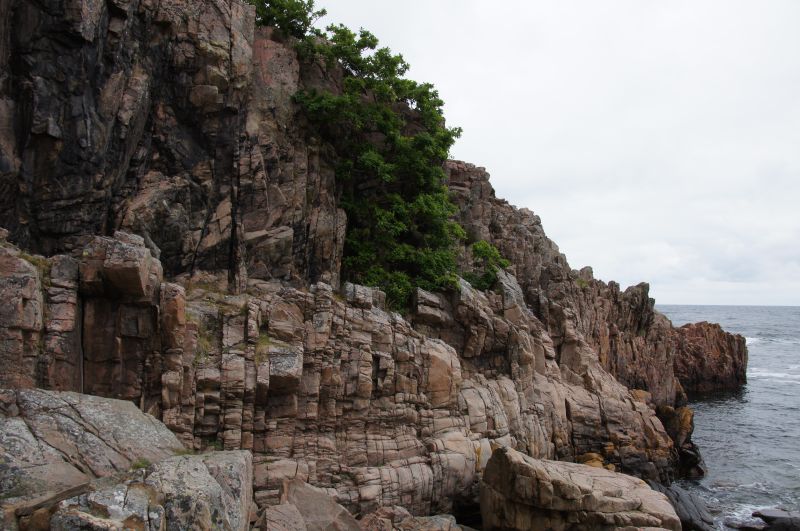 Viewing photos→2016→2016-06-18→001