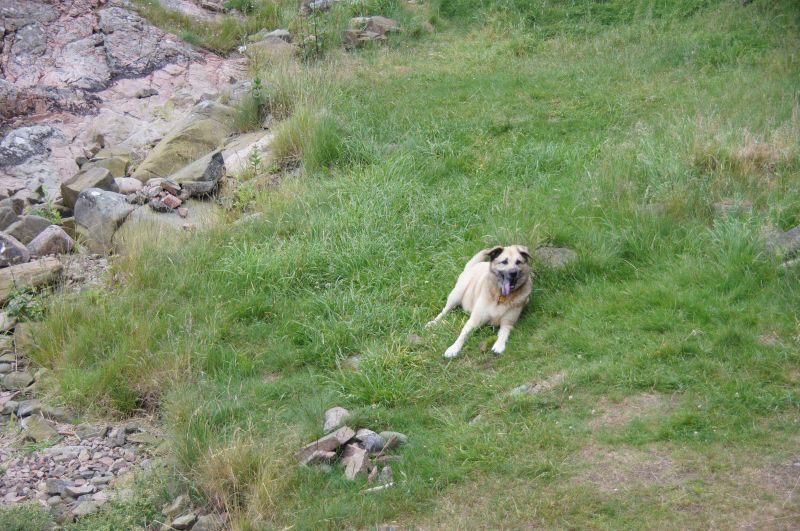 Viewing photos→2016→2016-06-18→003