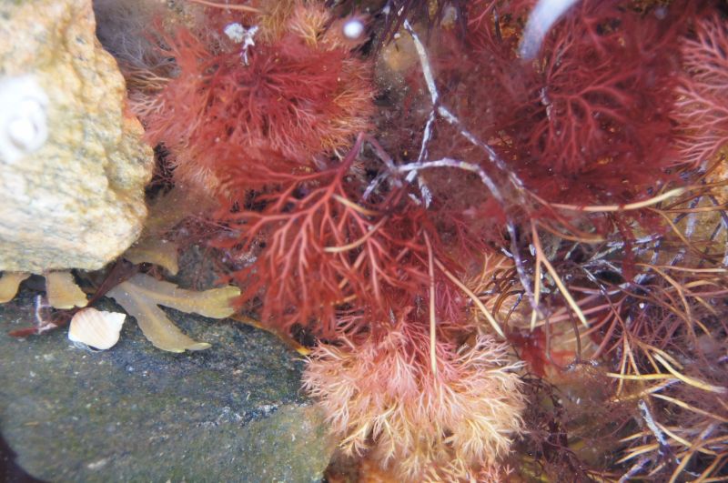 Viewing photos→2016→2016-06-18→044