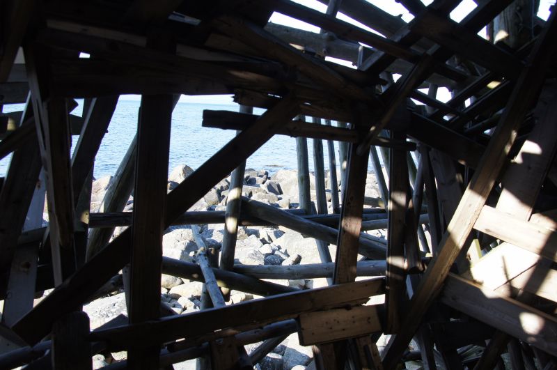 Viewing photos→2016→2016-06-18→063