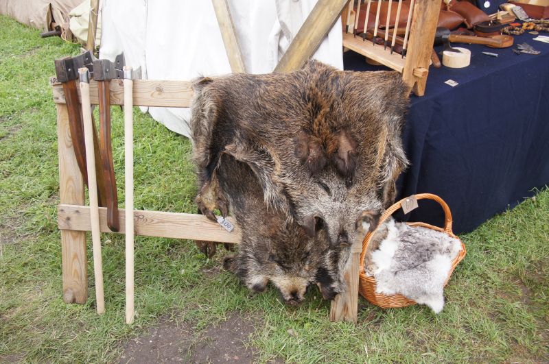 Viewing photos→2016→2016-07-02→77