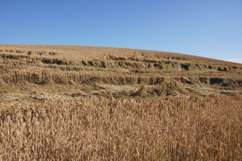 Viewing photos→2016→2016-07-22→10