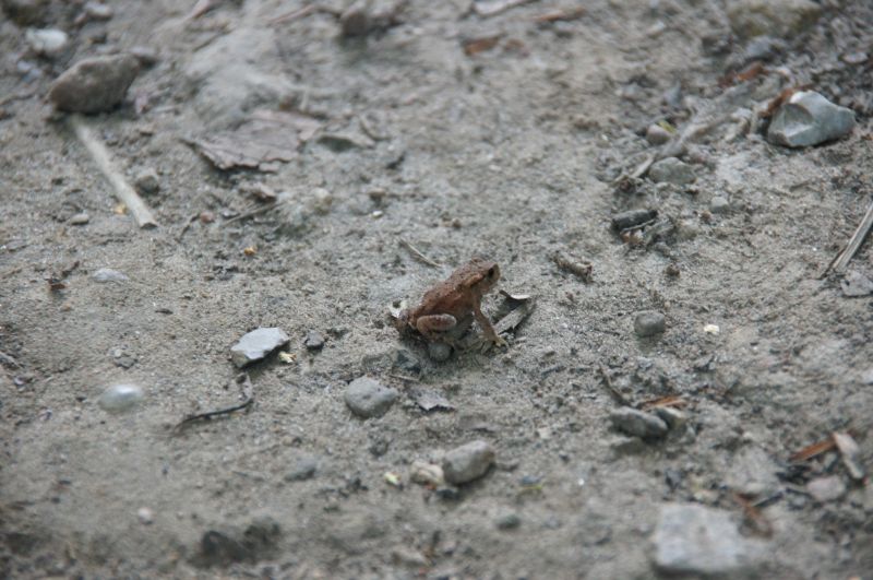 Viewing photos→2016→2016-07-22→11