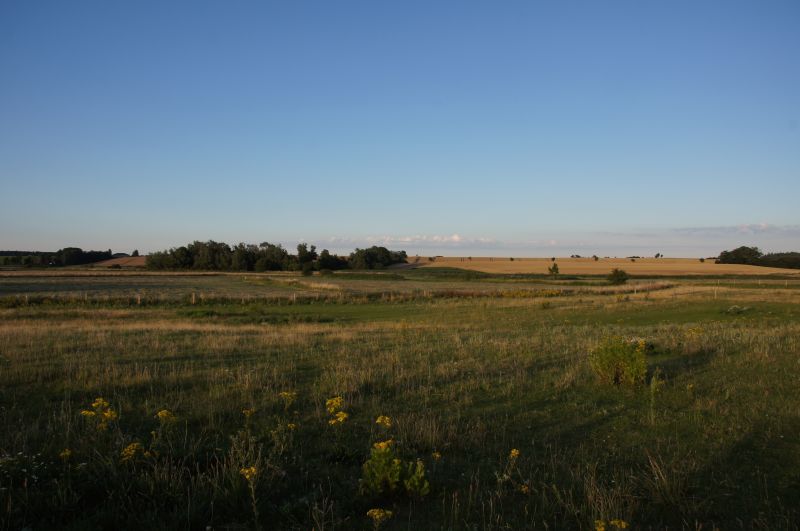 Viewing photos→2016→2016-07-22→14