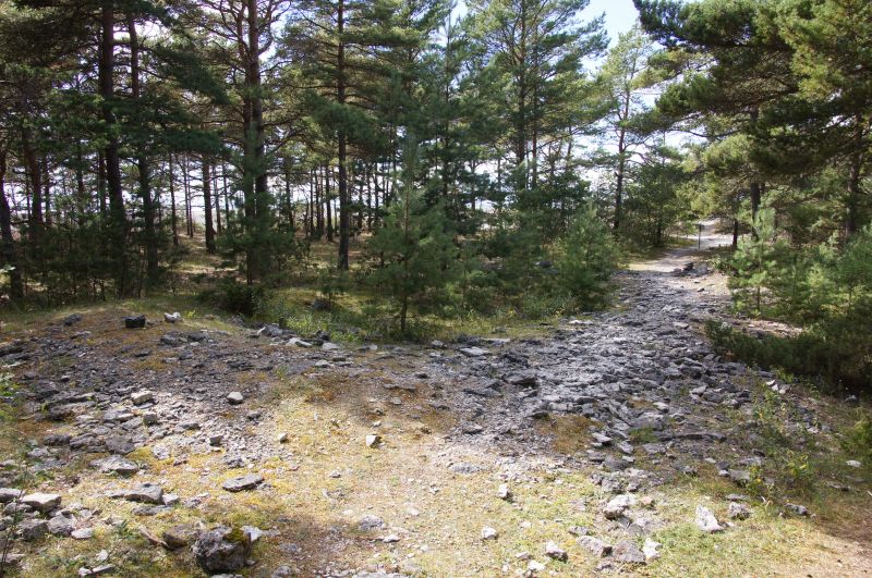 Viewing photos→2016→2016-08-11→048