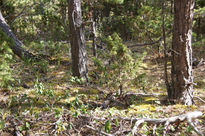 Viewing photos→2016→2016-08-11→068