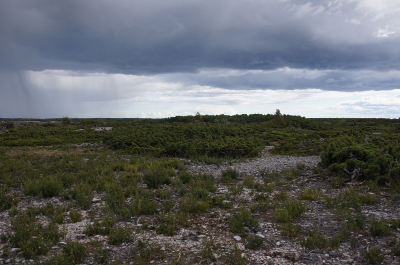 Viewing photos→2016→2016-08-11→089