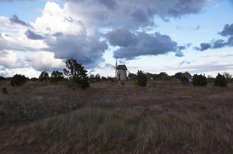 Viewing photos→2016→2016-08-11→125