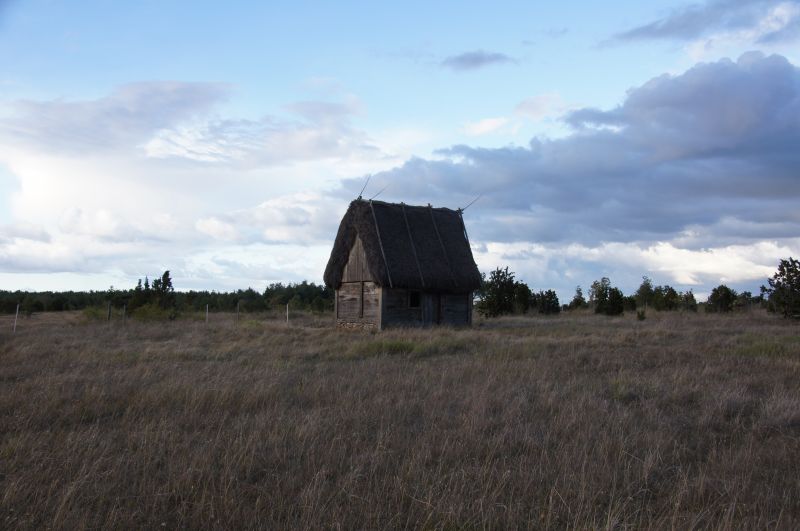 Viewing photos→2016→2016-08-11→126