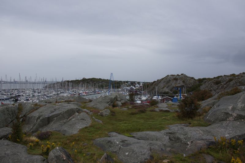 Viewing photos→2016→2016-08-28→02