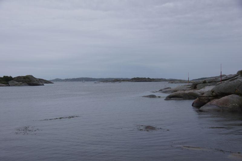 Viewing photos→2016→2016-08-28→07