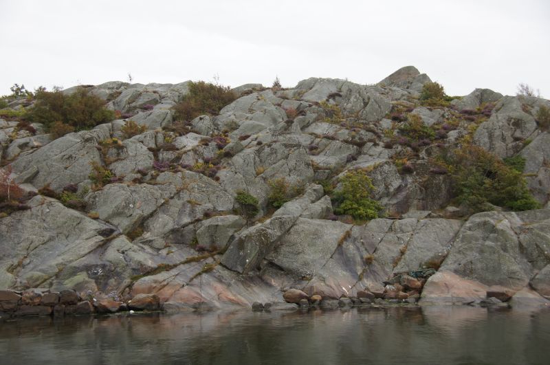 Viewing photos→2016→2016-08-28→10