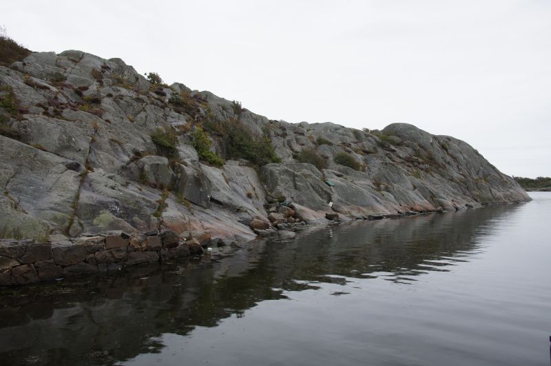 Viewing photos→2016→2016-08-28→11